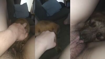 Nice lick