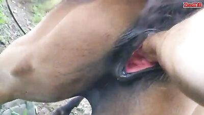 Mare fisting first time