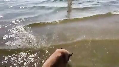 Hot beach day
