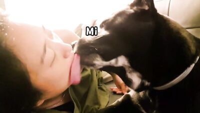 KOREA traditional dog JINDO VS hooman