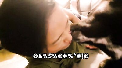 KOREA traditional dog JINDO VS hooman