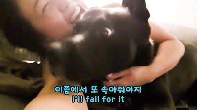 KOREA traditional dog JINDO VS hooman