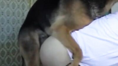 Jerkin the shepherd