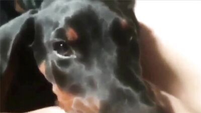 Hardest pussy suck ever.