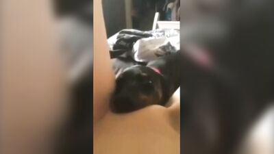 Hardest pussy suck ever.