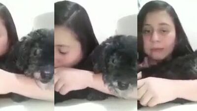 Giving bj to little dog