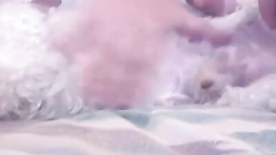 girl sucking poodle dick
