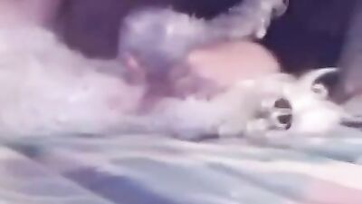 girl sucking poodle dick