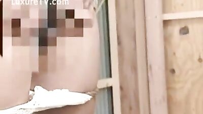 Japanese woman fucks a horse at a Farm