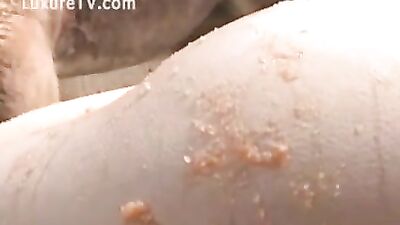 Japanese woman fucks a horse at a Farm