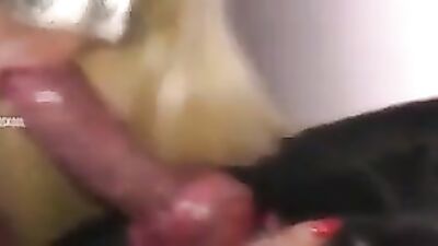 Horny blond girl in red stockings goes for dog sex