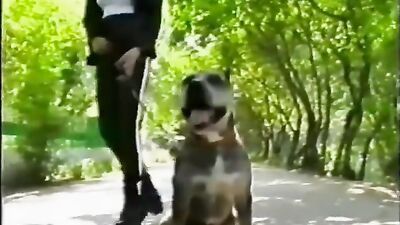 dog mix blowjob