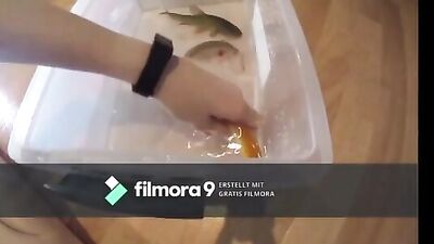 Fish girl insertion 0