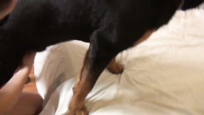Dogsex