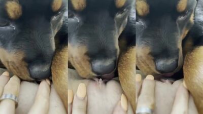 Girl licked by dog