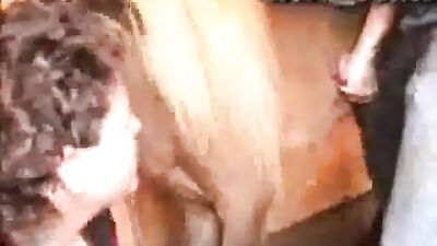 Shooting horse cum