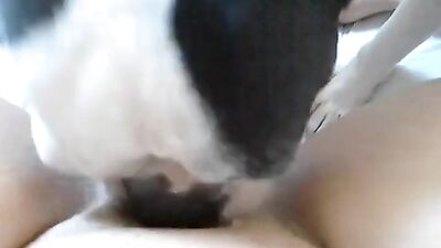Puppy Paws Pleasure
