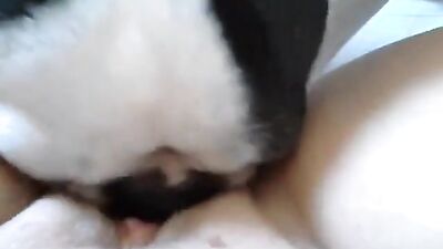 Puppy Paws Pleasure