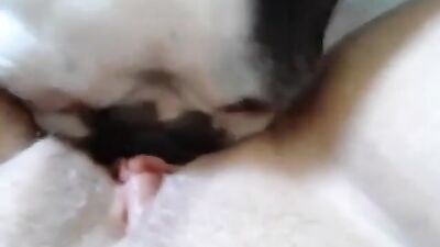 Puppy Paws Pleasure