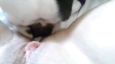 Puppy Paws Pleasure