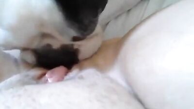 Puppy Paws Pleasure