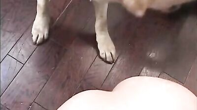 Cute japanese women fucks dog