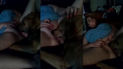 dog love to eat my pussy