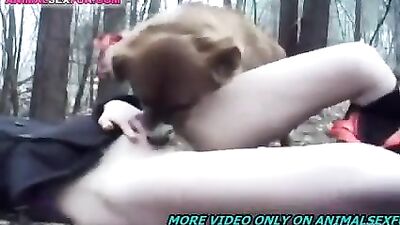 dog licks woman in the forest