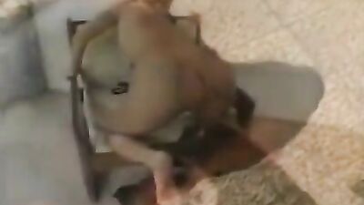 Brazilian Training the Dog