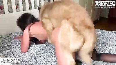 Bestiality teen