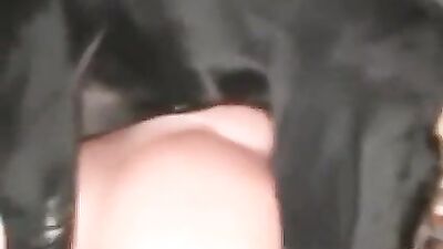 atriz porno na zoofilia