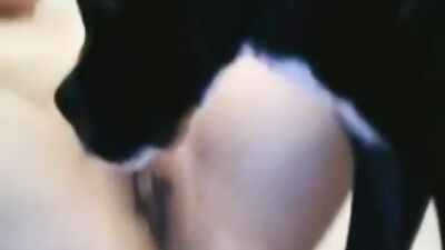 beautiful and entusiastic girl getting lick by dog
