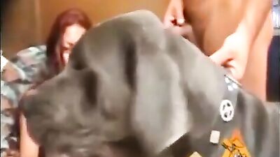 Married Dog Addict