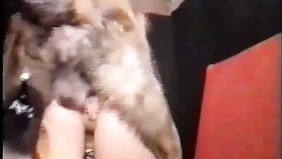 Amy gets dogged many times long