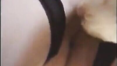 adilia feeding her dog her piss not private