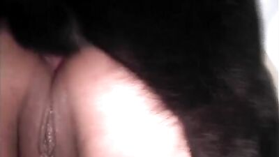 Amateur Dog Fuck Compilation 2021 Pt. 9
