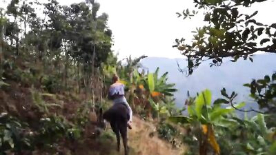 alison for horse 2