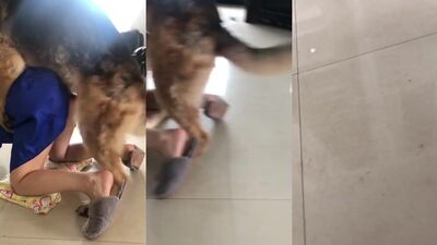 Petite Chinese Cuties Pup Playtime