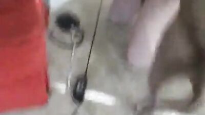 Amateur getting fucked by pitbull