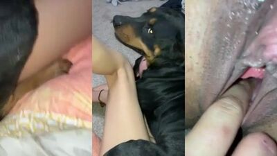 Fucks a slender bitch well