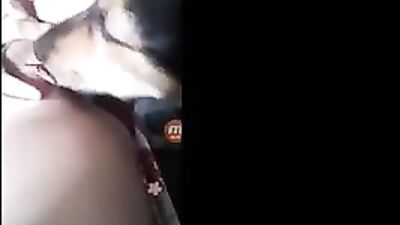 webcam with dog