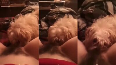 Teen licked
