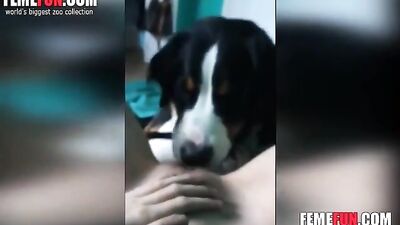 Teen pussy licked POV