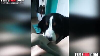 Teen pussy licked POV