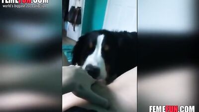 Teen pussy licked POV