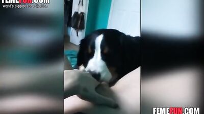 Teen pussy licked POV