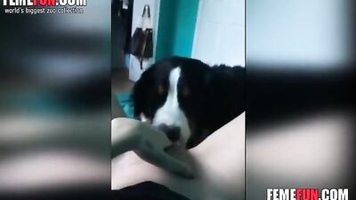 Teen pussy licked POV
