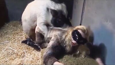 Video 002