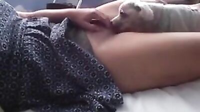 Small dog licking teen