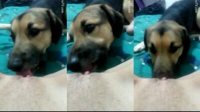 Teen and dog lick